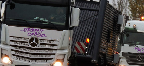 International moving services